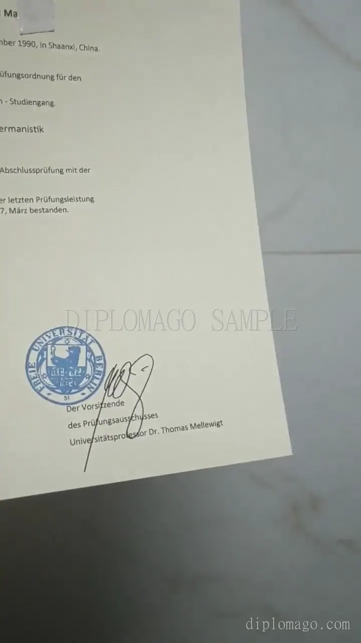 蓝色圆章与韩国证书版面短视频缩略图，展示地区样本制作细节