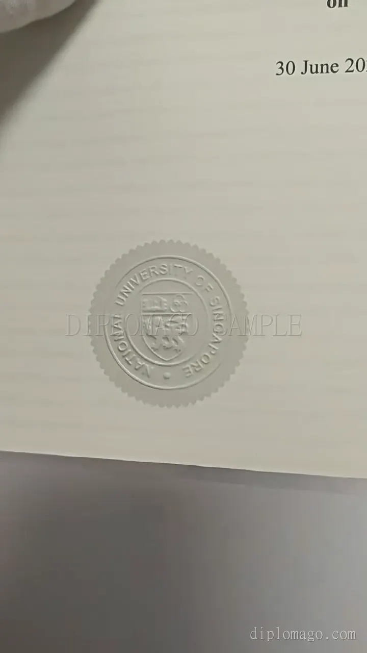 蓝色圆章韩国证书展示短视频缩略图，展示地区样本制作细节