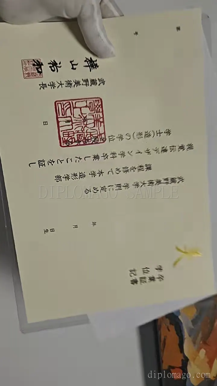 校徽盾章与证书封面细节短视频缩略图，展示成品与封套制作细节