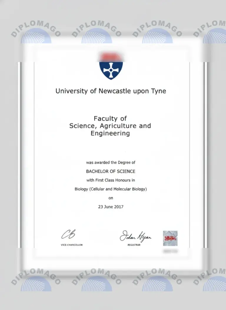 英国纽卡斯尔大学证书