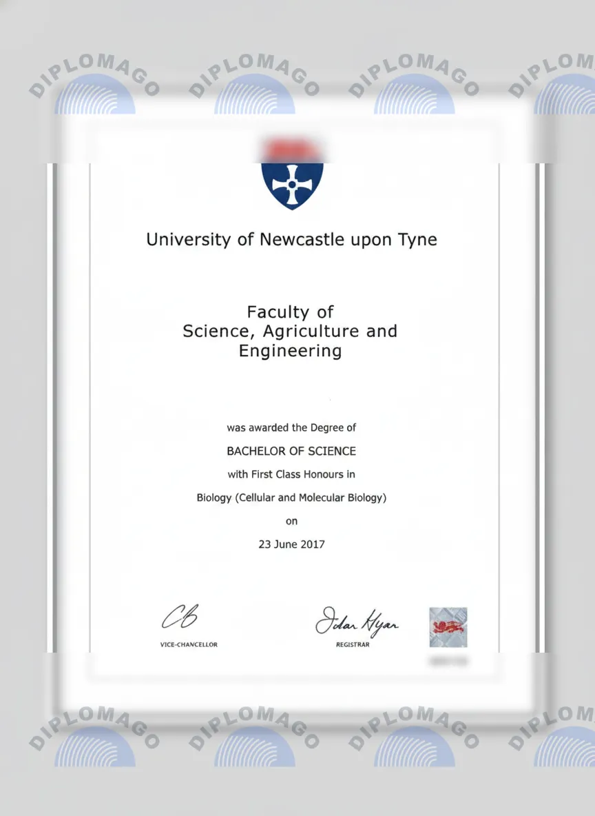 英国纽卡斯尔大学证书