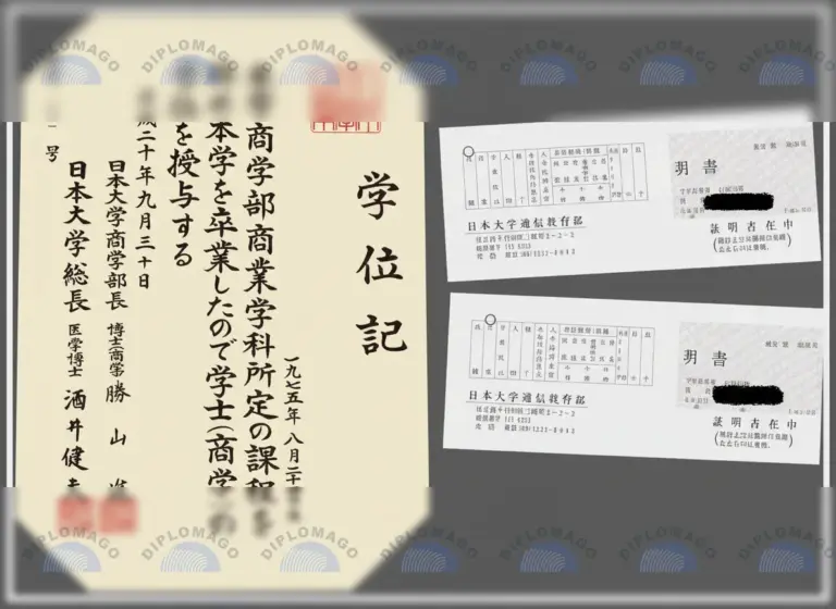 日本大学证书