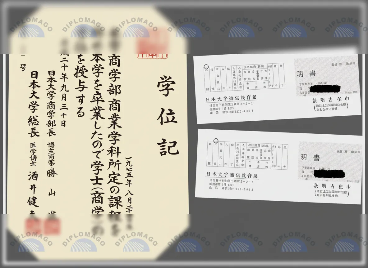日本大学证书