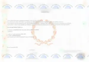 里尔大学毕业证文凭学位证书历年参考模板制作样式