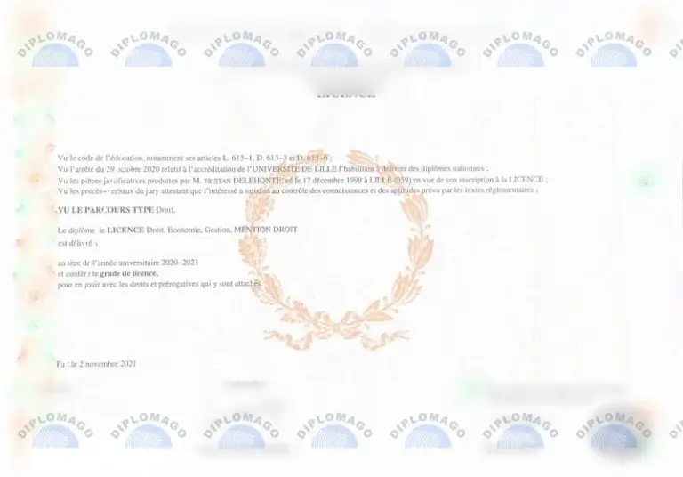 里尔大学毕业证文凭学位证书历年参考模板制作样式