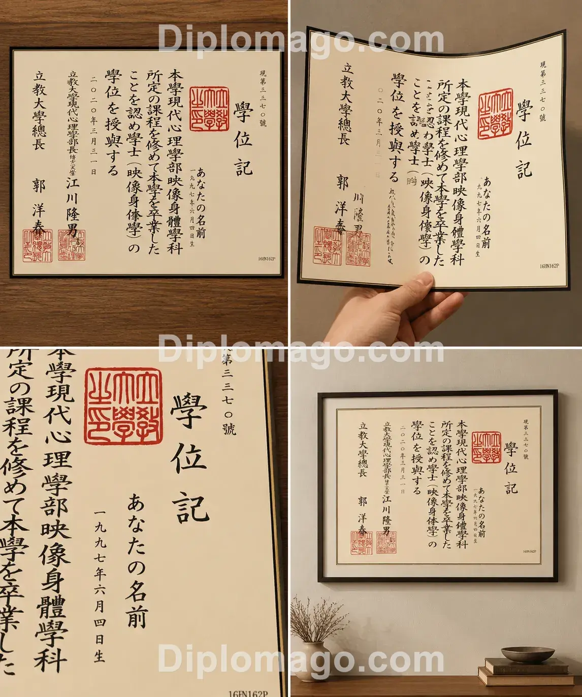立教大学Rikkyo University Japan证书制作实拍照片，真实拍摄成品案例细节展示，历届历年新版老版证书样本